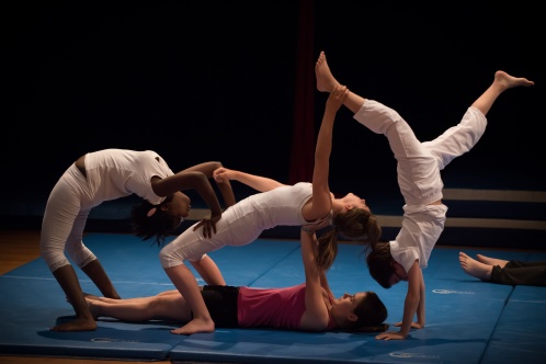 96 Faite du Cirque • Mardi 20 Mai 2014 • Groupe Au Galop • Vladimir Couprie • Copyright©jootprod