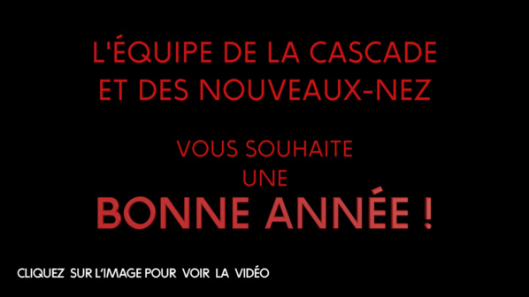 Capture-d-ecran-bonne-annee-1
