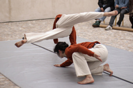 pasterne-lenareynard-web