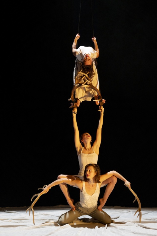 faune-cie-libertivore-2-philippe-laurencon-copie